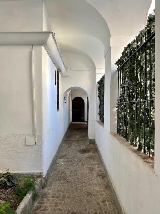 Lovely Apartment In Via Della Scala, Trastevere Řím Exteriér fotografie